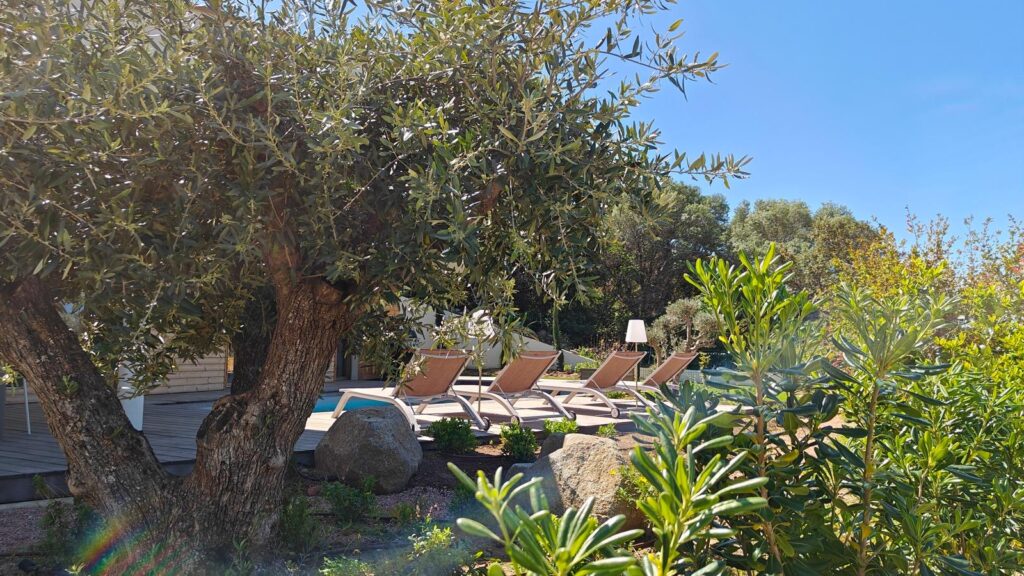 612fe406-c431-4c2e-970c-a3bcb2374e1c